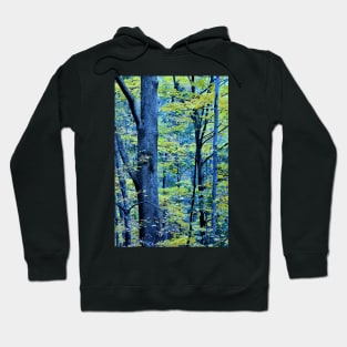 Autumn Foliage #2 Hoodie